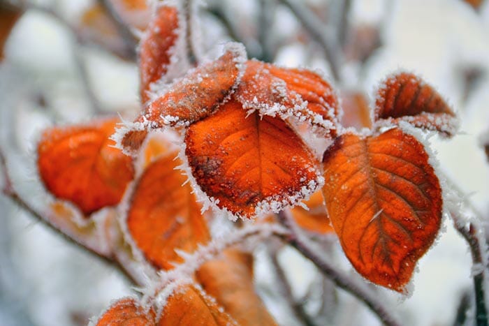 Winter Photography Tips by iPhotography.com