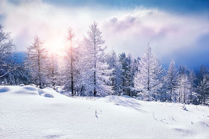 Winter Photography Tips by iPhotography.com