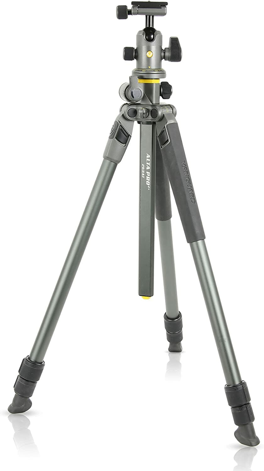 Vanguard Alta Pro 2+ 263AB100