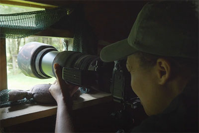 Bird Hide Photography Tips by iPhotography.com