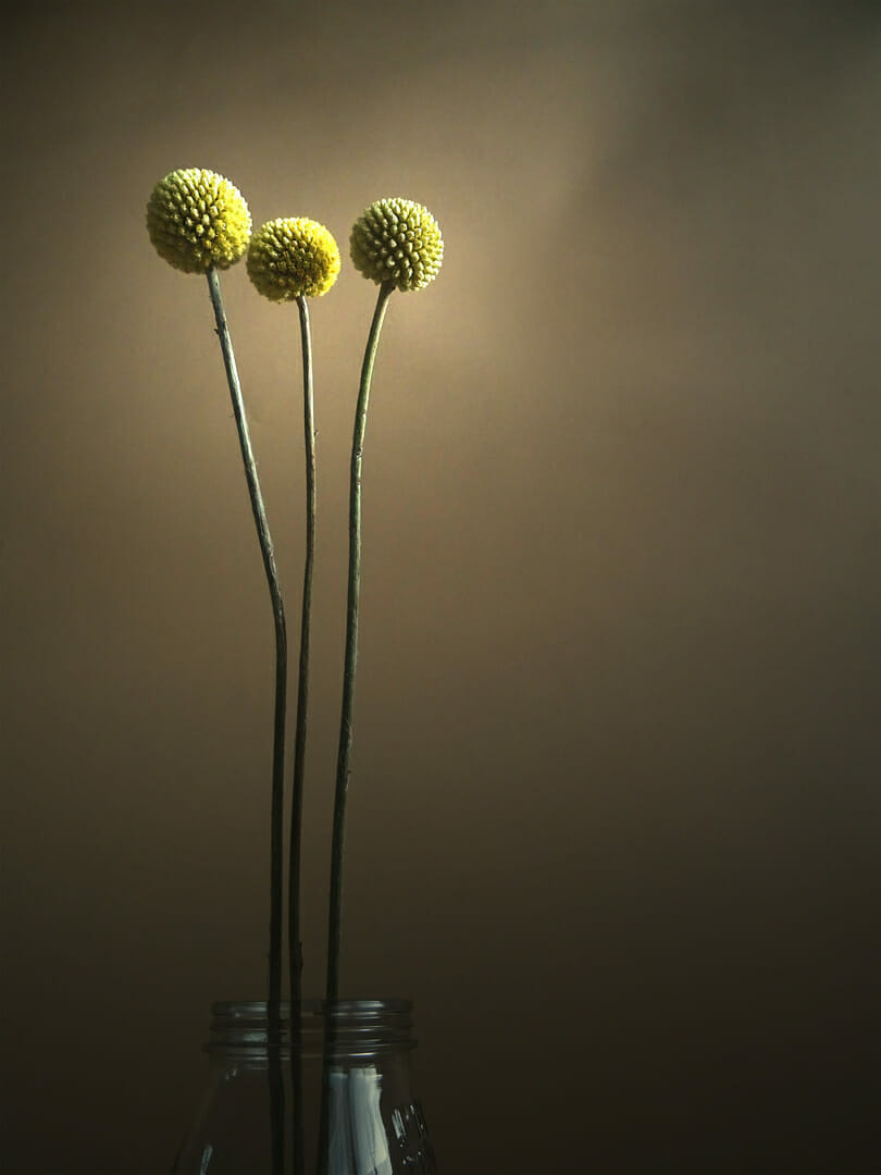 Image by Christina Noordberger (iPhotography Student)