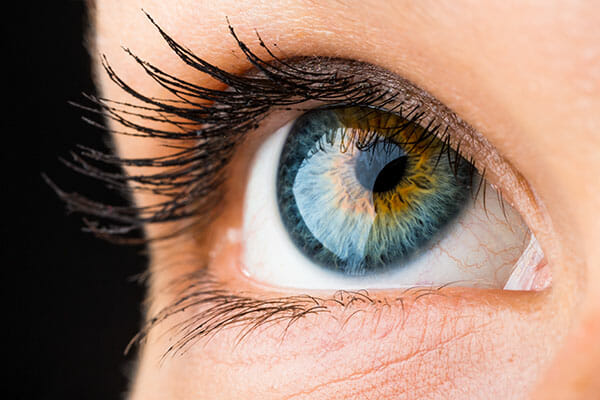 creative angles extreme close up eye macro
