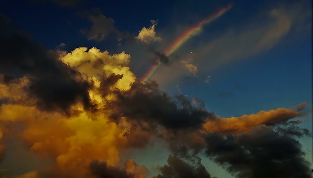 Image by Charles Williams