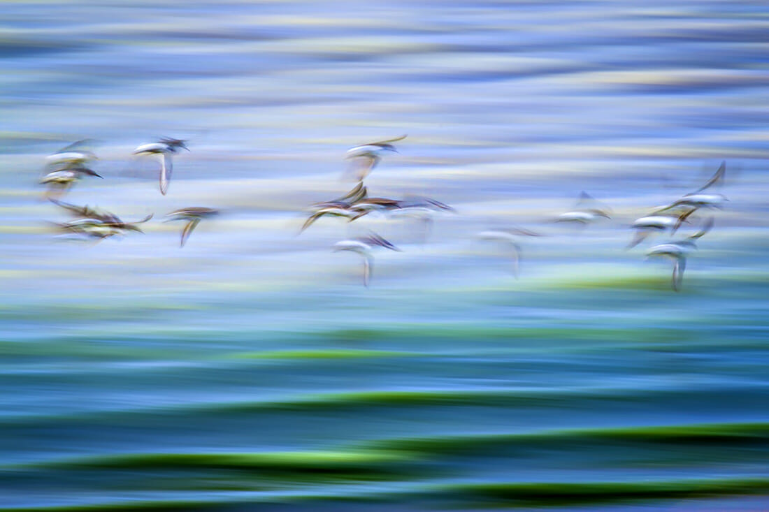 Fine Art Photography Tutorial