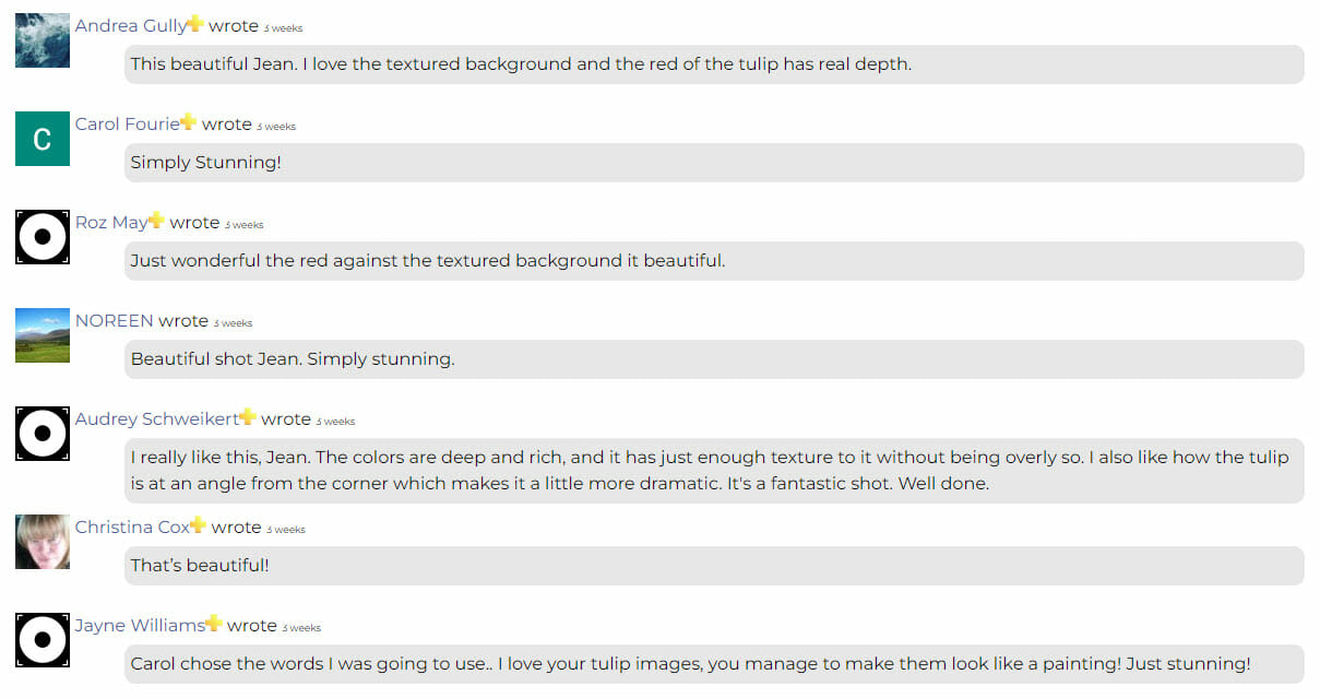 How to Use the iPhotography gallery by iPhotography.com