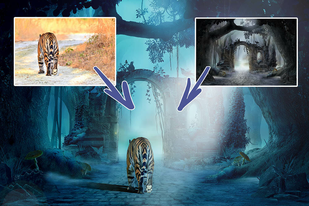 Tiger in the moonlight photoshop composite image example