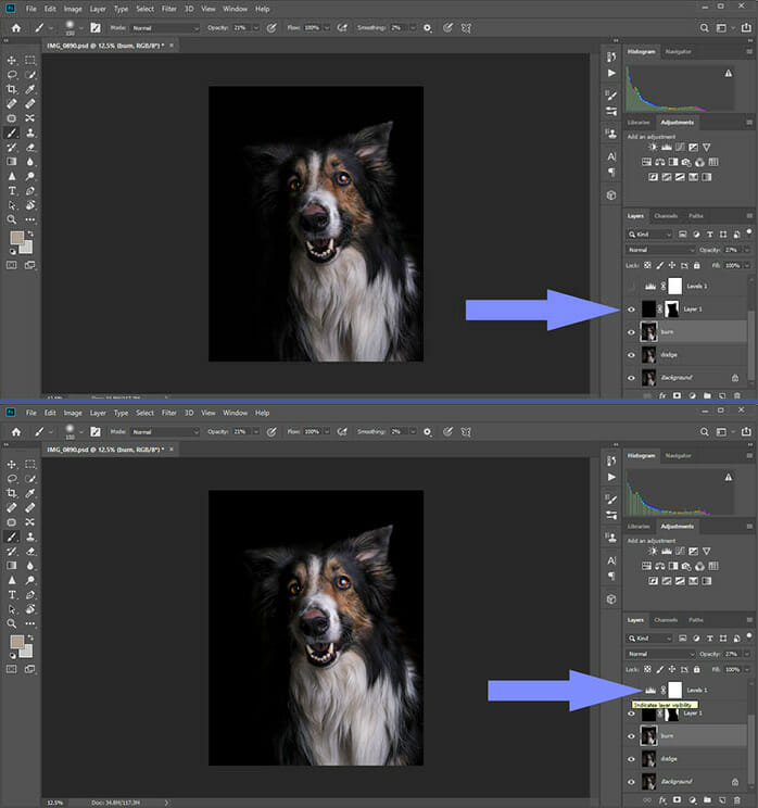 Low Key Dog Photography Example for iPhotography.com