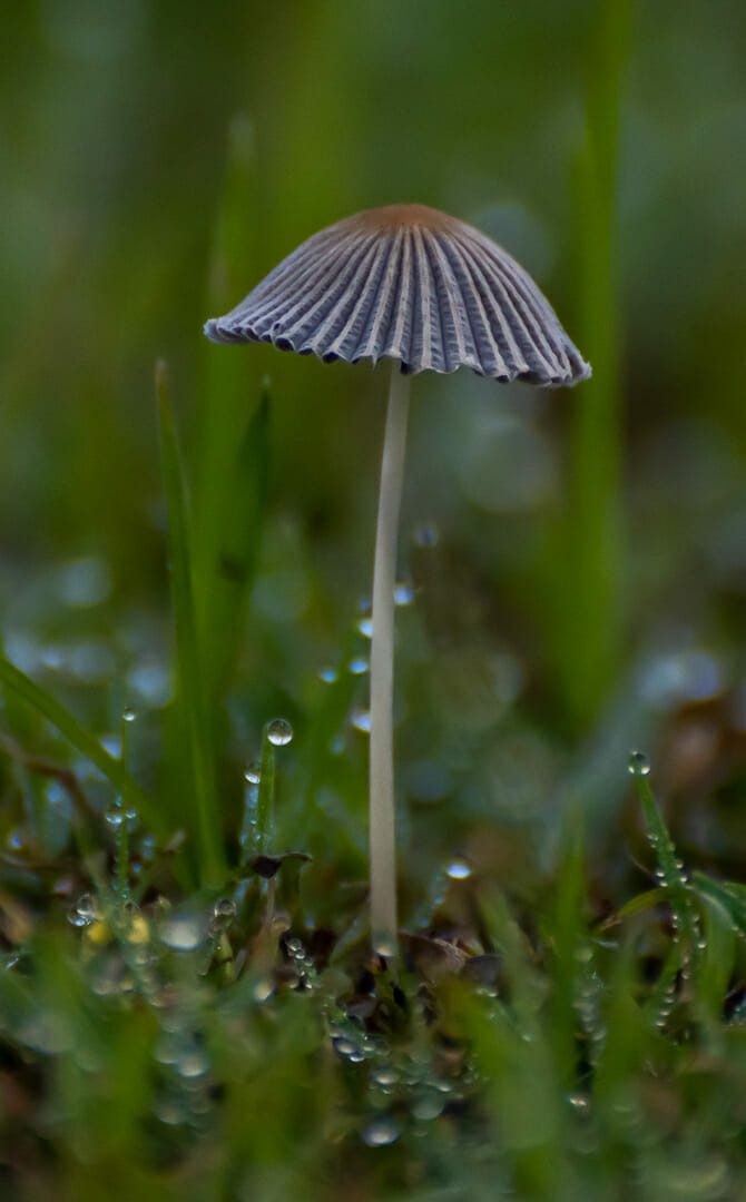 Image by Kevin Pamphlion (iPhotography Student)