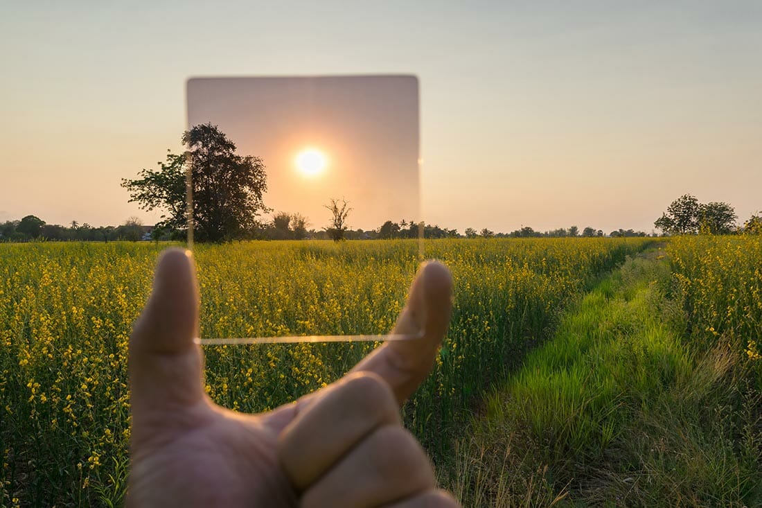 camera Gradient Neutral Density ND Filter test on yellow flower landscape