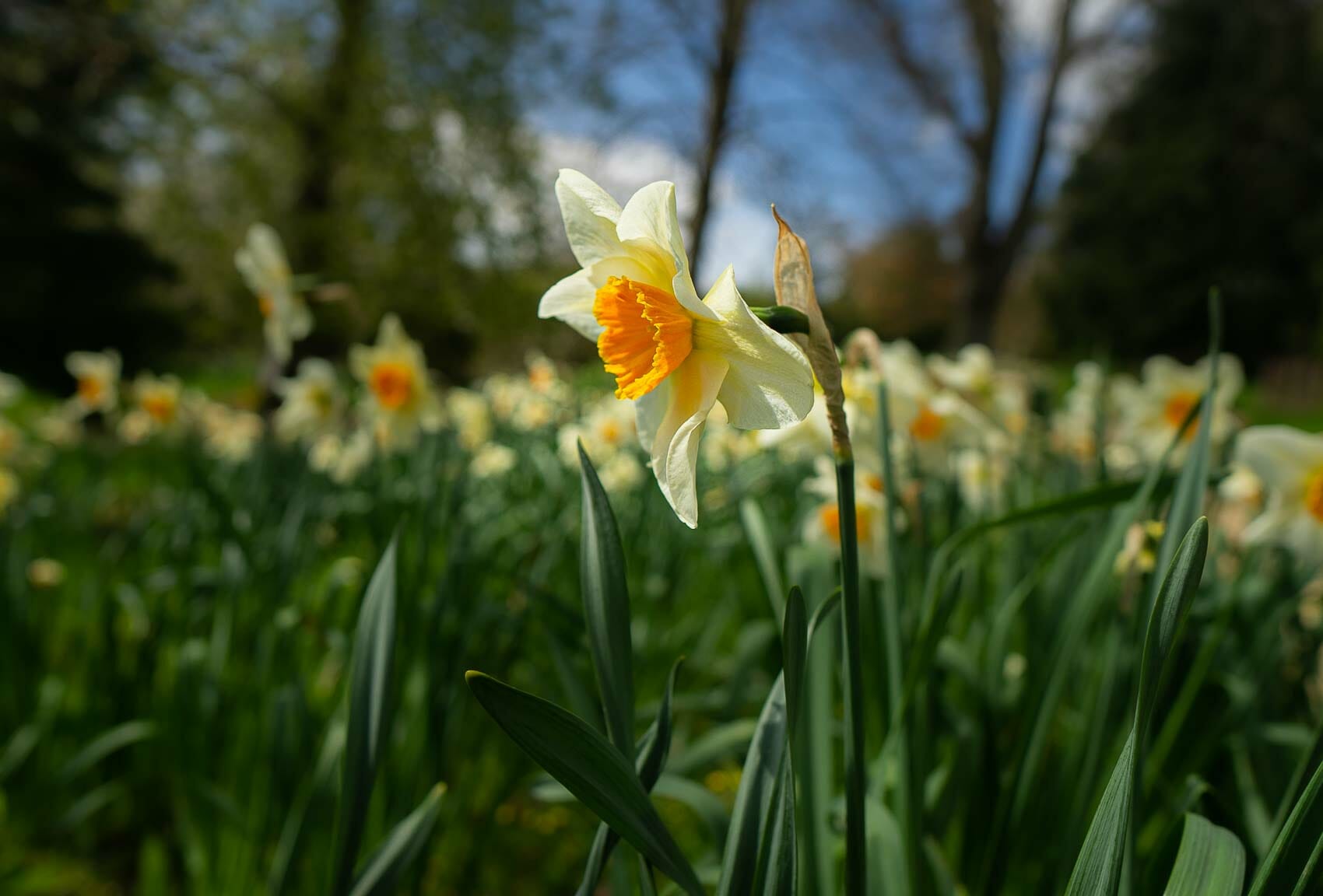 Nature Photography-01250