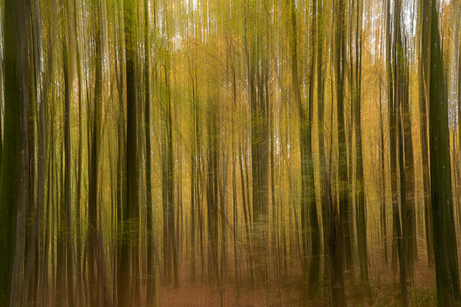 10 Nature Photography Tips by iPhotography.com
