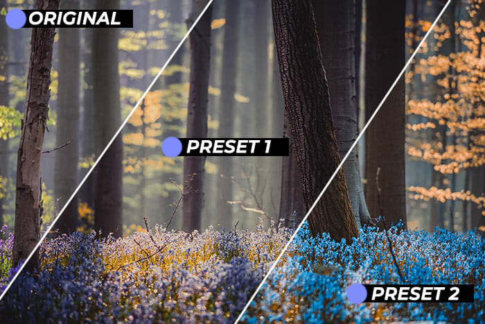 nature photography tutorial