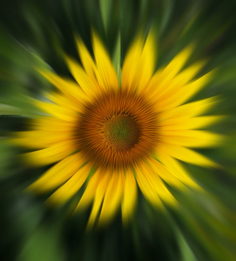 Image by Patricia Smith