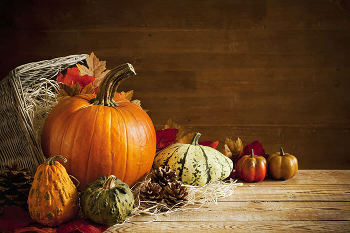 Still Life Photography Tutorial by iPhotography.com