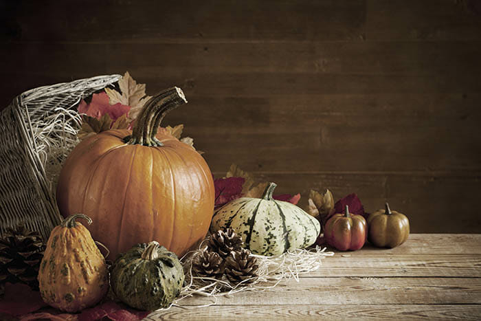 Still Life Photography Tutorial by iPhotography.com
