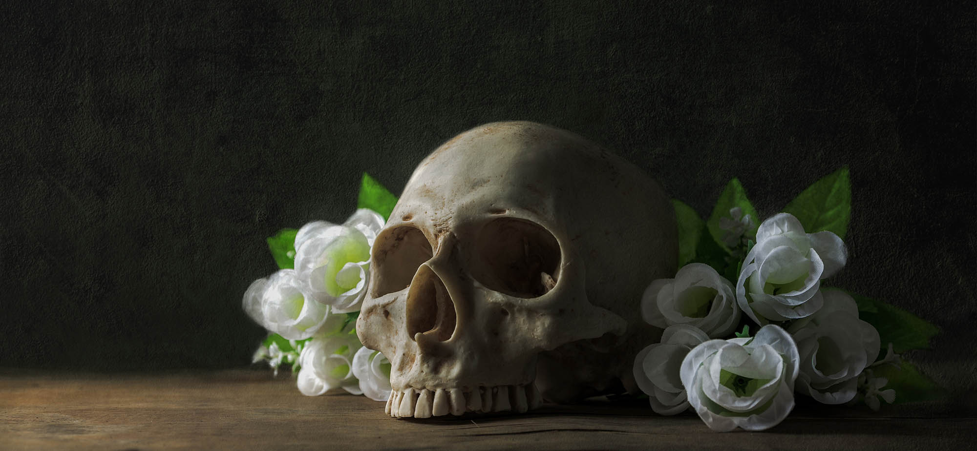 Still Life Photography Tutorial by iPhotography.com
