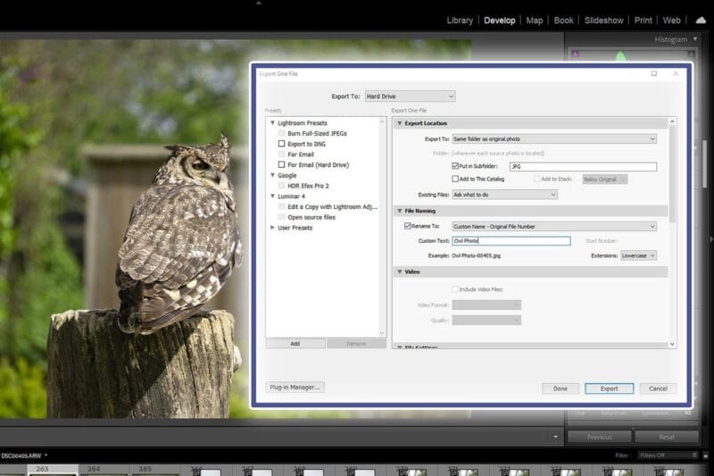 The Best Export Settings in Adobe Lightroom for Photographers Blog 10