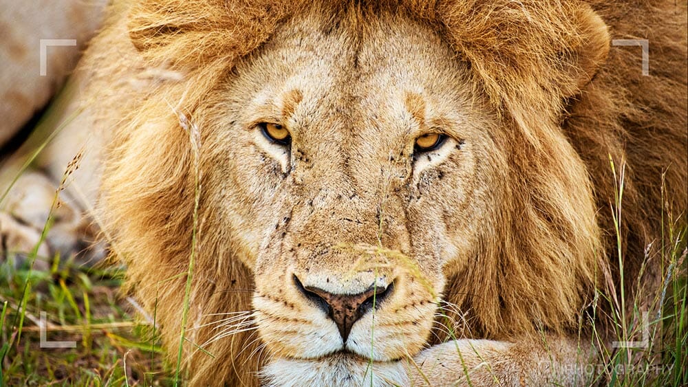 Image by Rachel Sinclair (iPhotography Instructor)