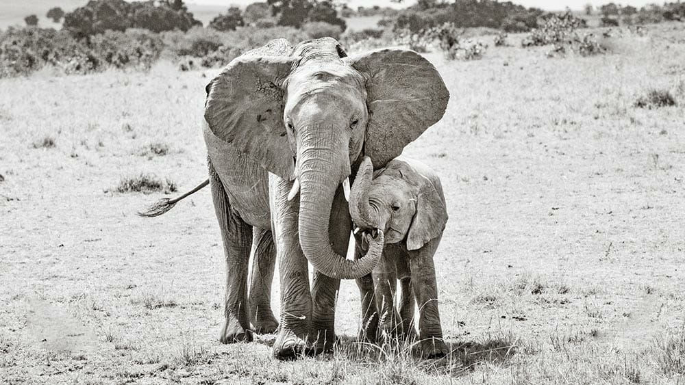 Image by Rachel Sinclair (iPhotography Instructor)