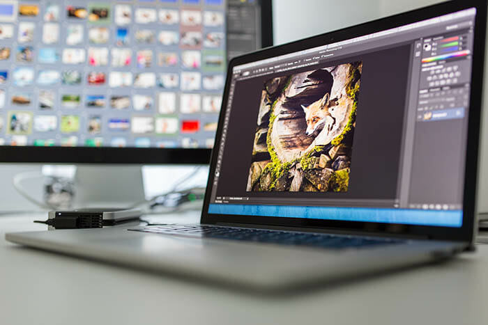 Photography for Beginners