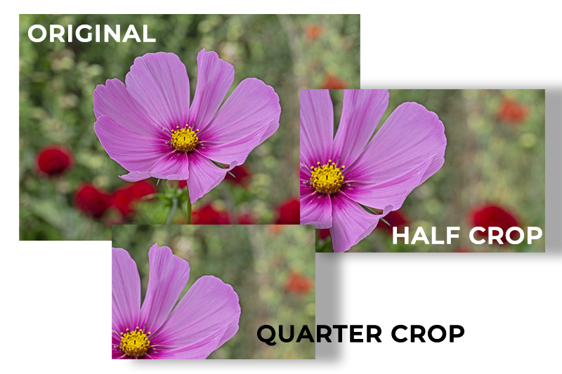 Creative Crop Photography Guide by iPhotography.com