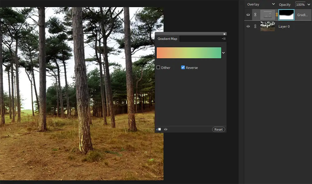 Adjusting Gradient Maps with Masks