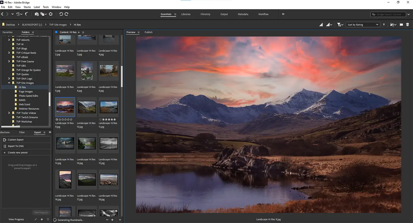 Adobe Bridge screen