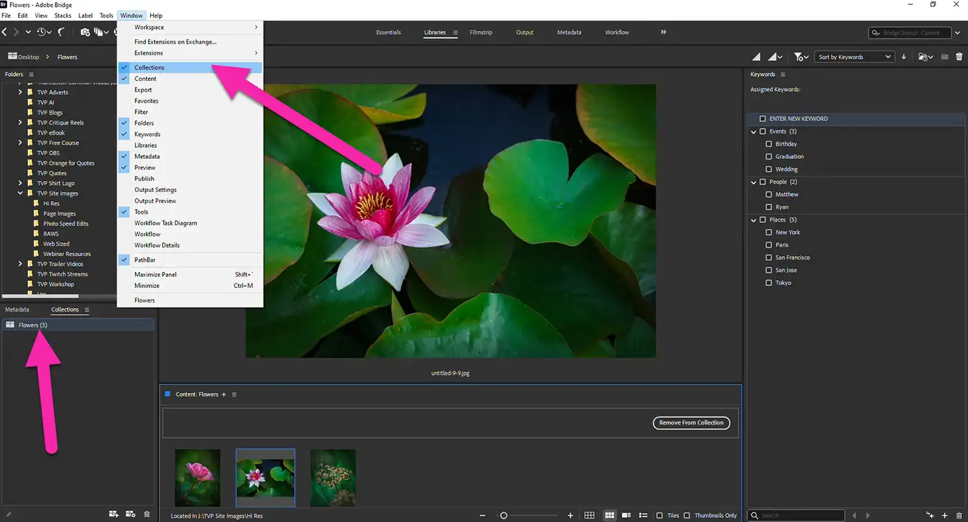 Adobe Bridge screen collections tool