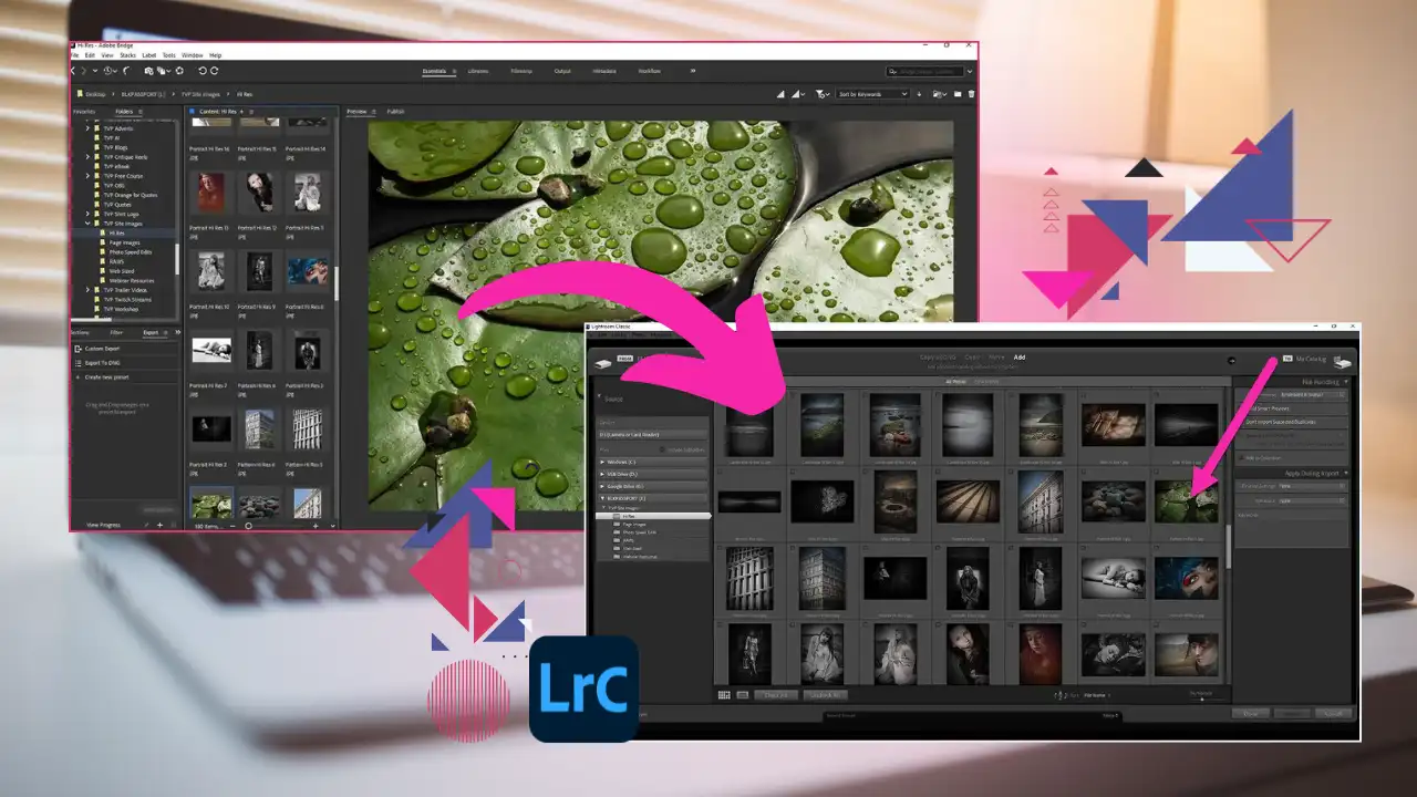 Adobe Lightroom and Adobe Bridge compatibility example