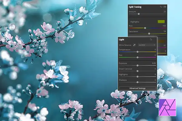 White and Blue blossom flowers with Affinity Photo graphics laid over the top