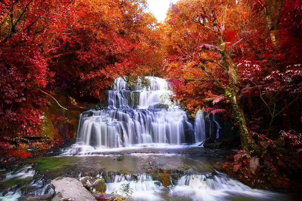 Autumnal Waterfall