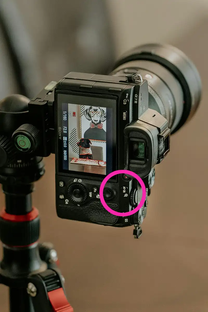 back of a camera with a pink circle denoting back button focus AF-ON Sony camera