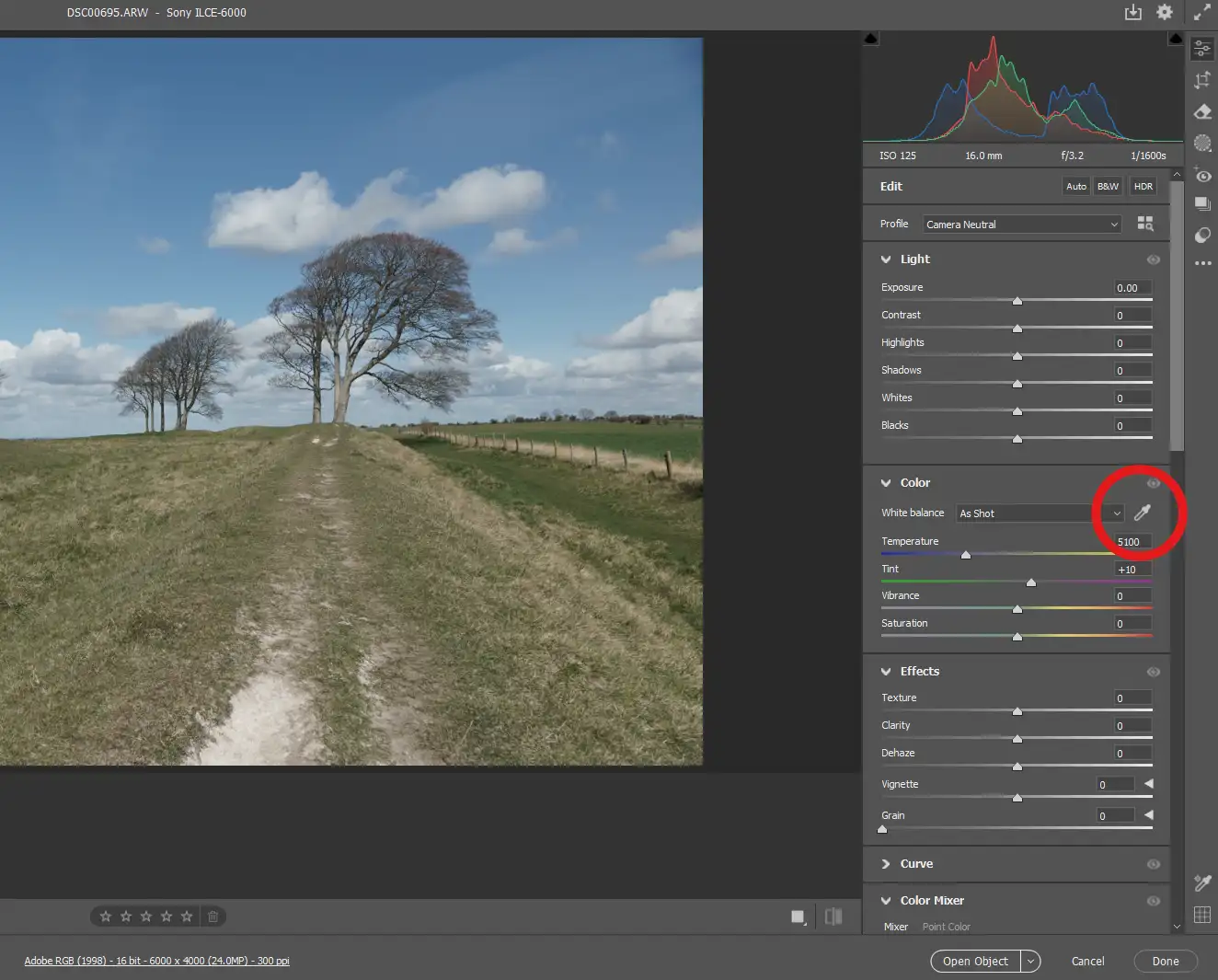 Camera RAW White Balance Selector