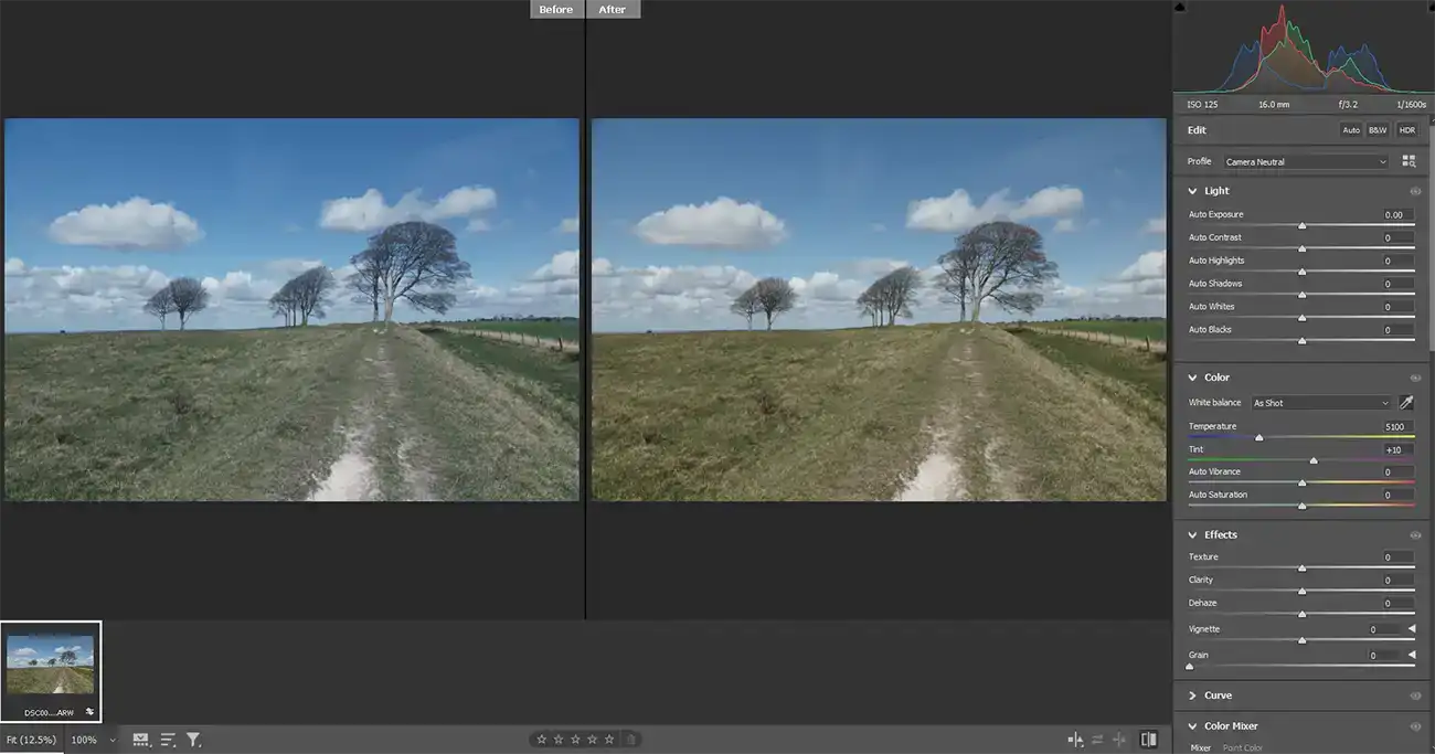 Camera RAW White Balance Selector