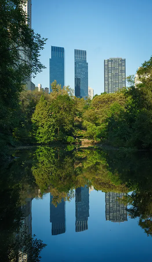 Central Park Photography Tips Blog 1