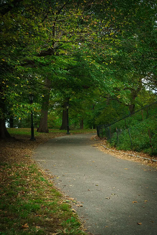 Central Park Photography Tips Blog 12