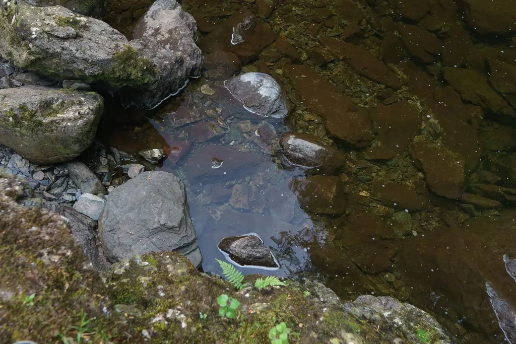 small puddle with the effect of a circular polarised filter being used