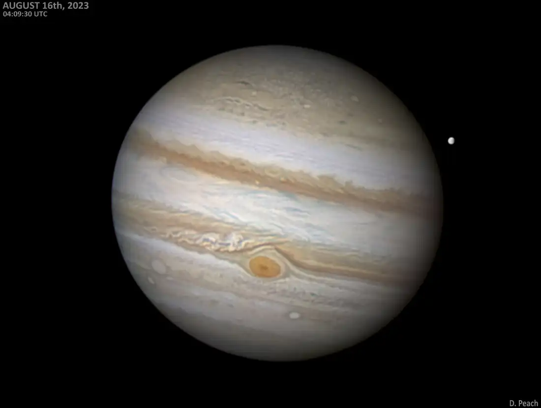 Jupiter by Damian Peach