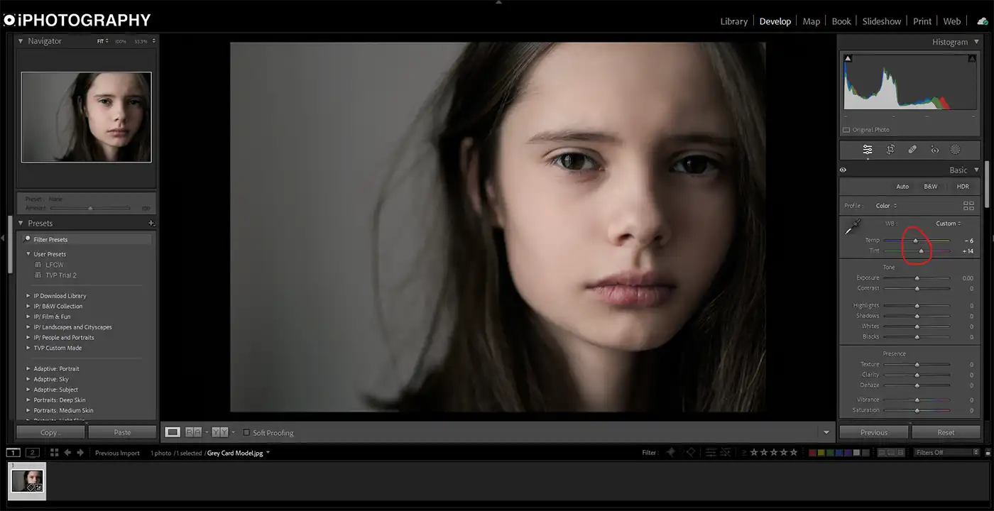Final Adjustments in Adobe Lightroom