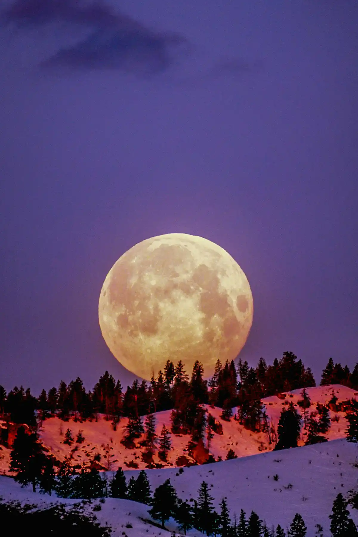 A supermoon rising above a snowy landscape