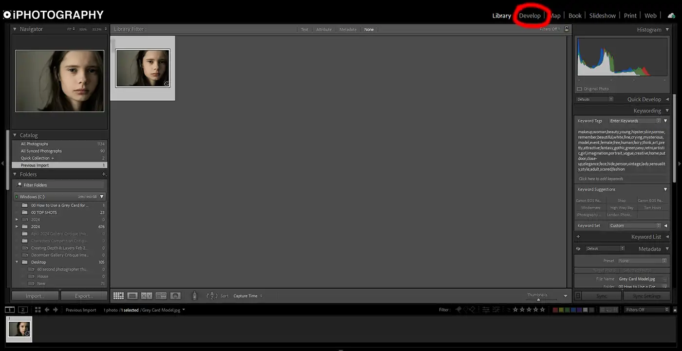 Navigate to the Develop Module
