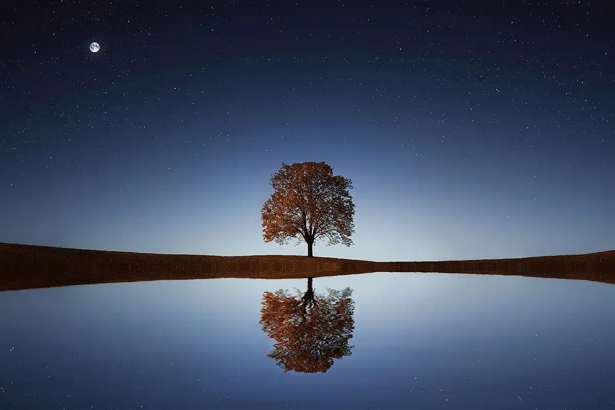 Night Water Reflection with a Lone Tree