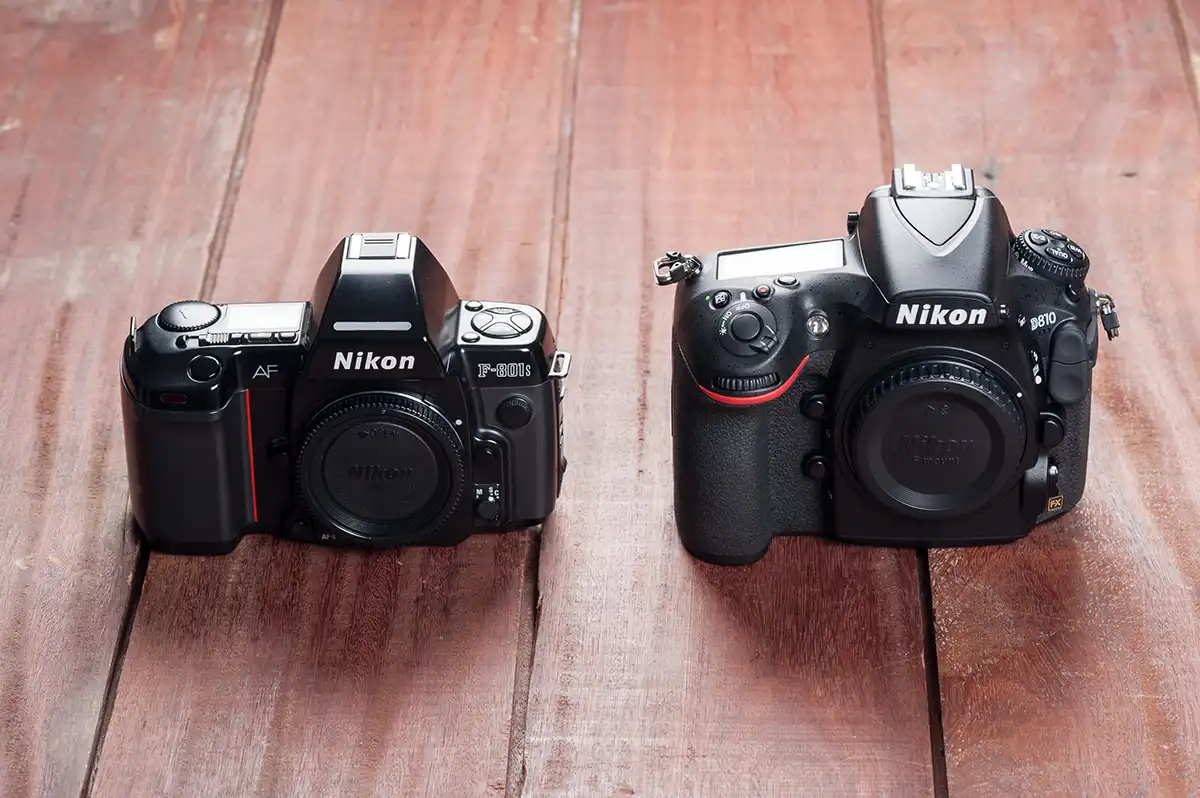 Nikon F801 film camera and Nikon D810 Digital camera