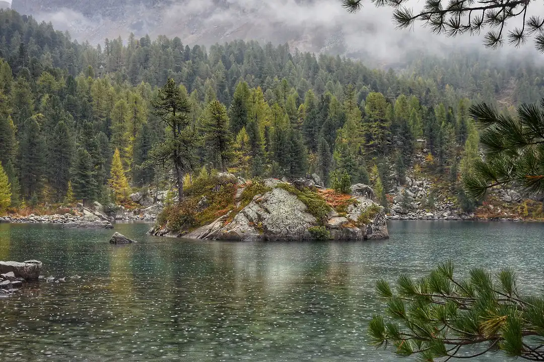 Rain on Landscape Lake