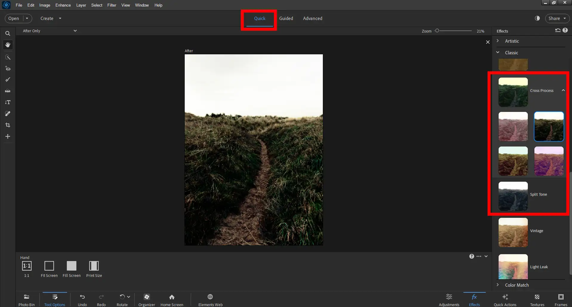 Split Toning Quick Menu PS Elements