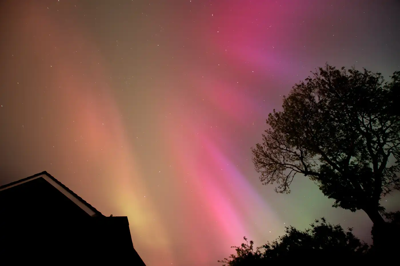 Northern Lights in the sky above a house and a tree