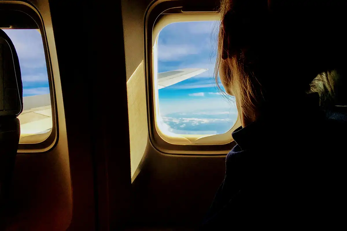 Through an airplane window