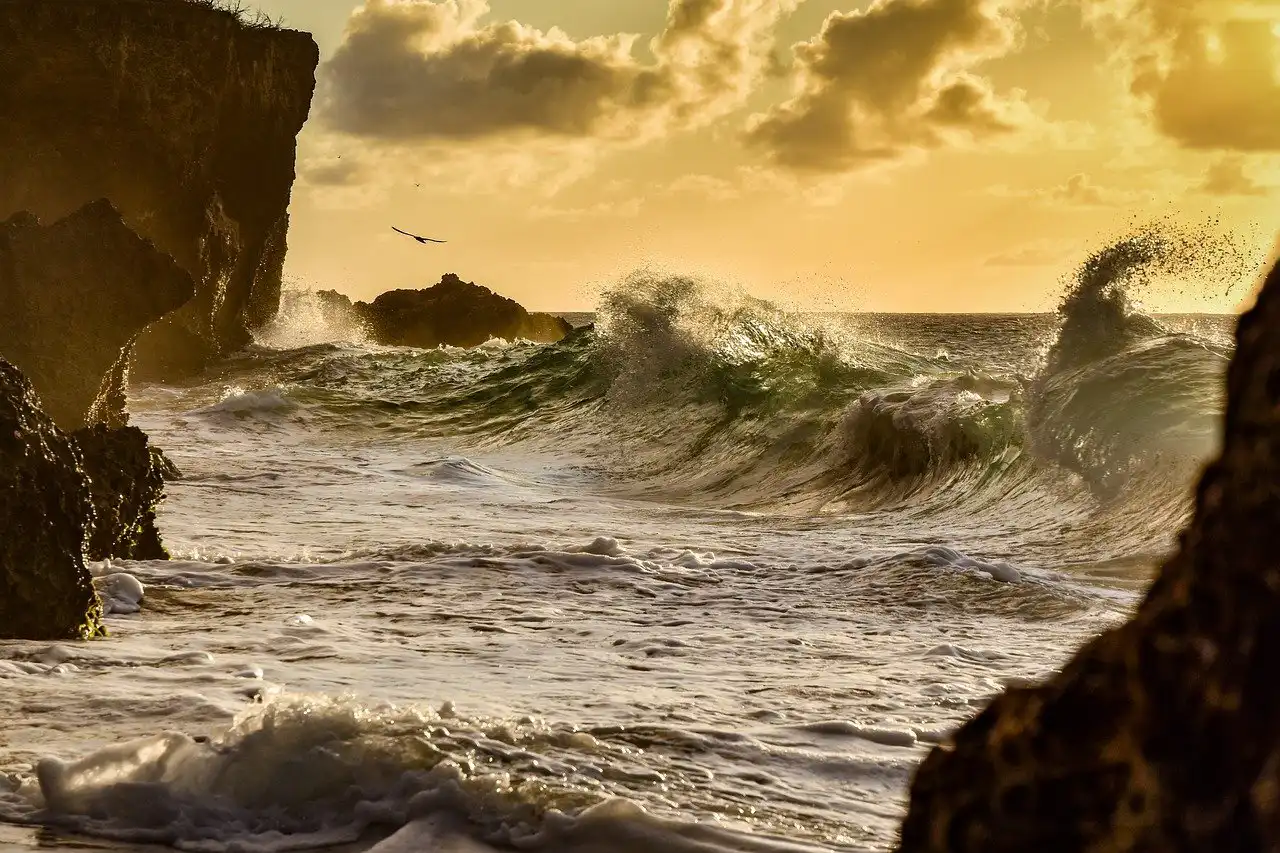 Waves on Coastal Rocks